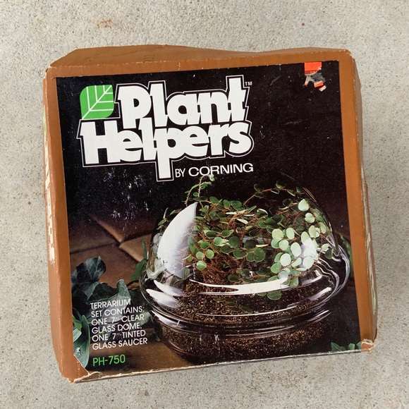 Plant Helpers | Corning Glass Terrarium